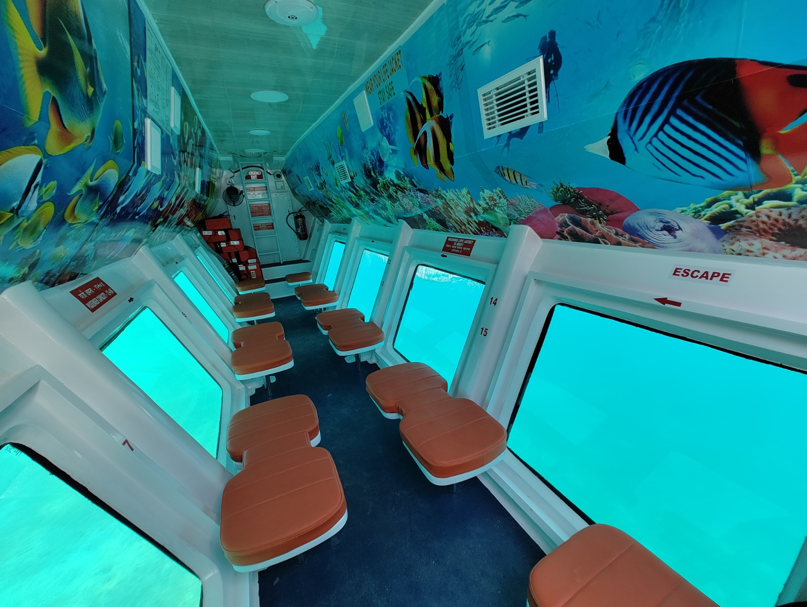 Nemo Semi Submarine_10.jpeg